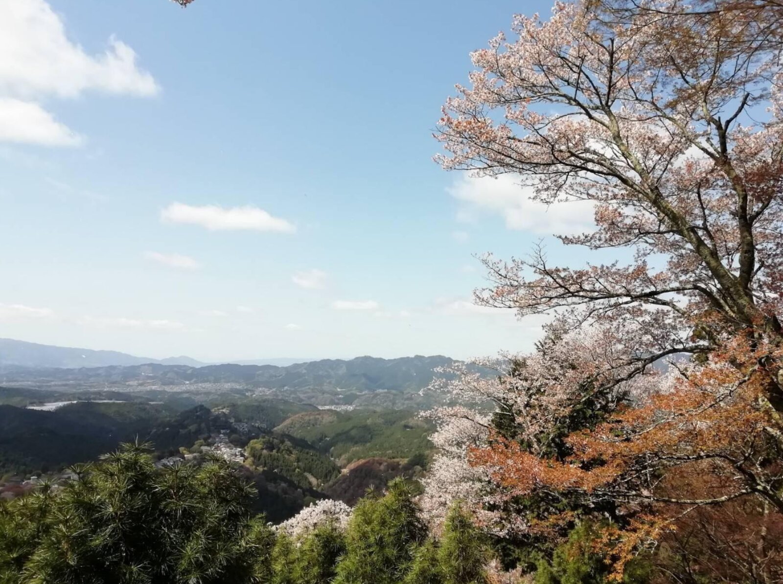 Yoshino mountain guide hike from Guest House Kurotaki